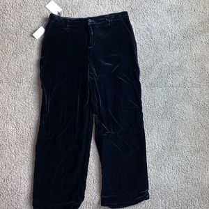 Gap crushed velvet black ankle length pant